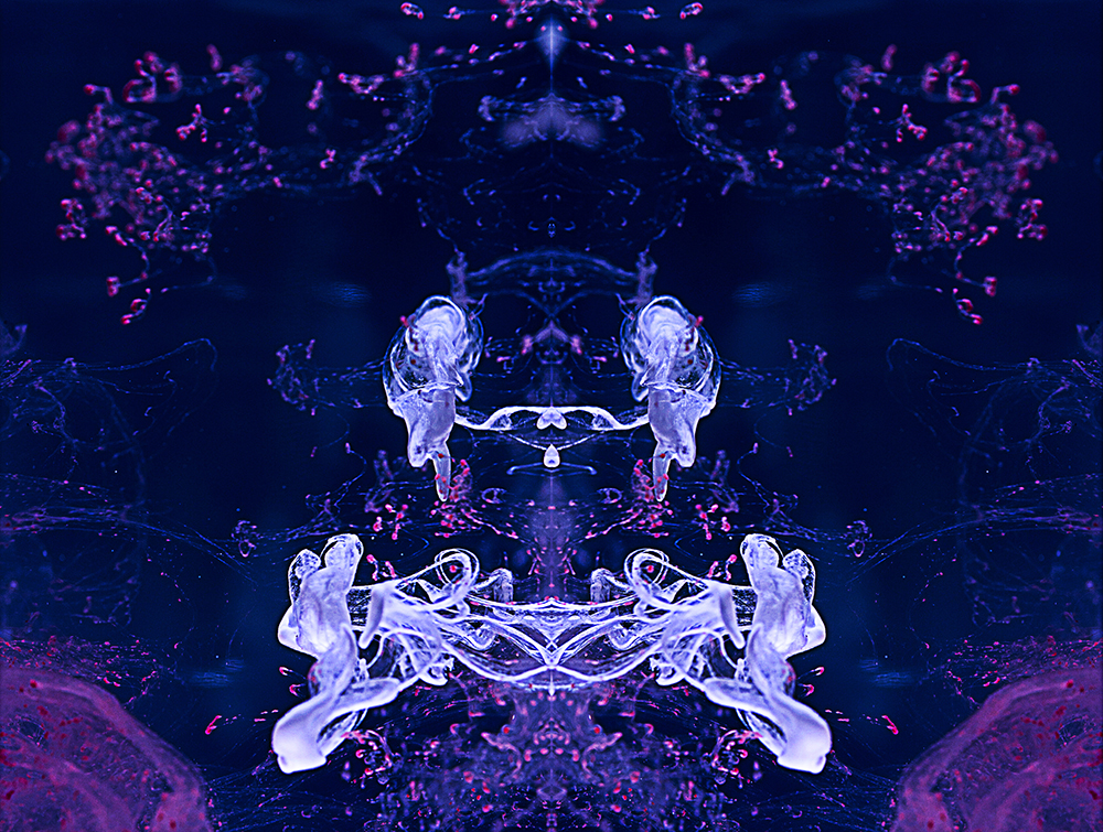 Symmetry in Bloom